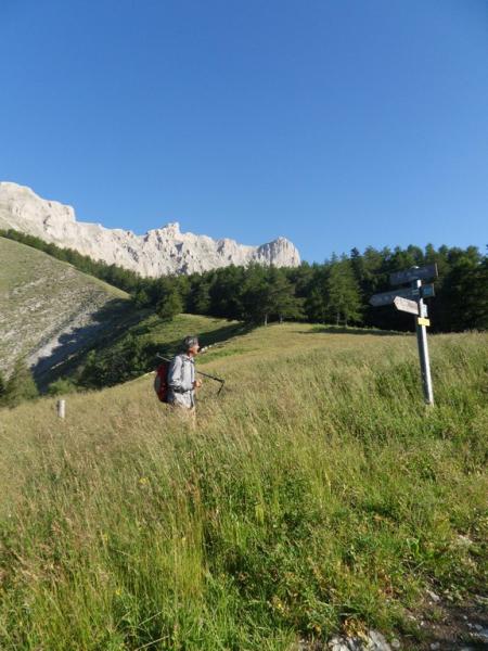 Col de conode