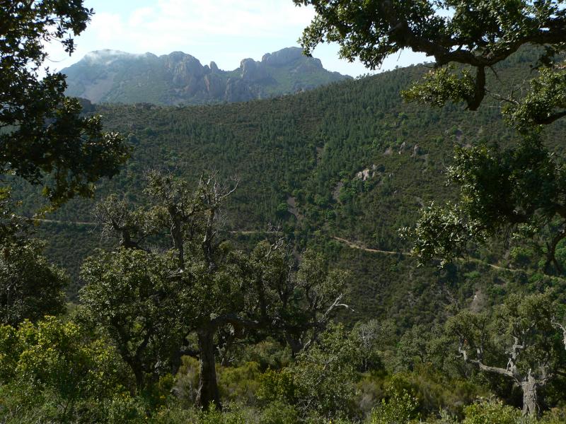 Col de la Cadière