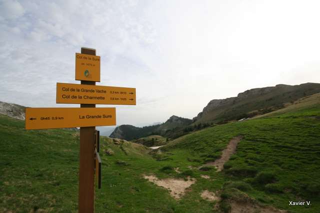 Col de la Sure