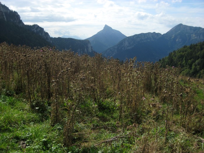 Col de la ruchère