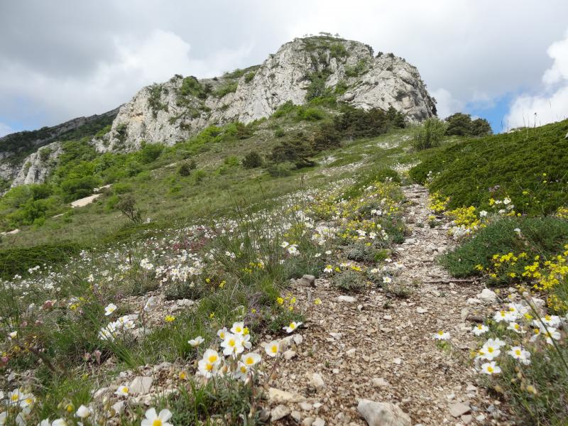 Col des Cassets