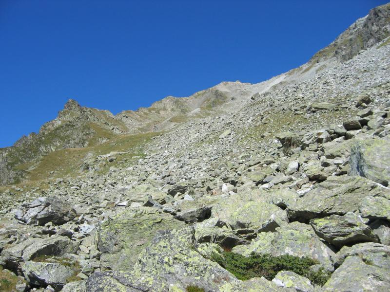 Combe et collet à droite