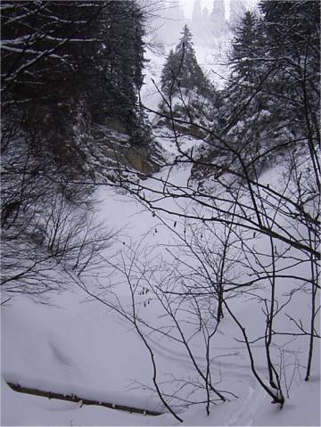 Combe