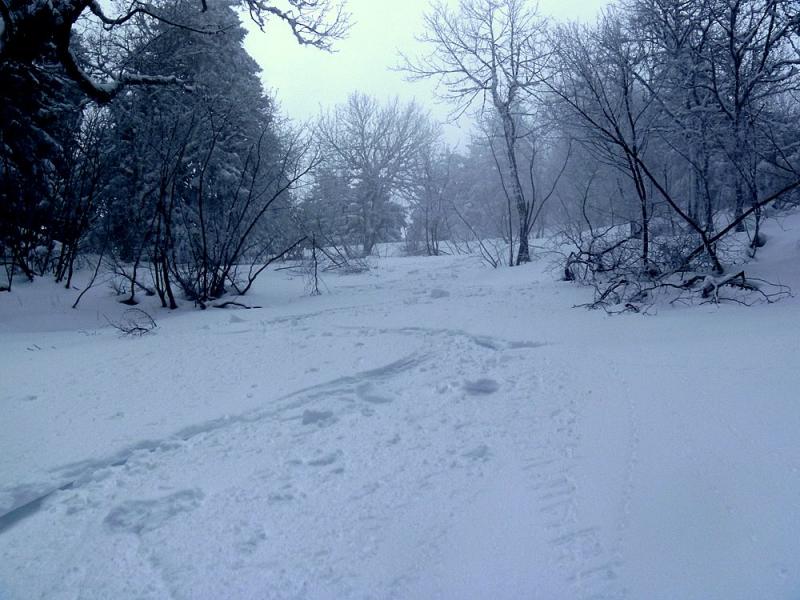 Combe Nord