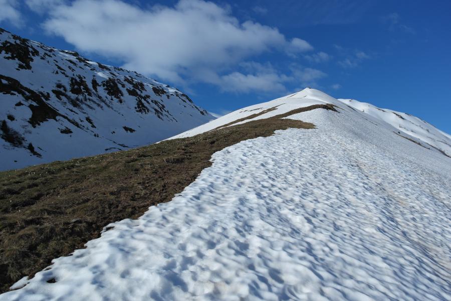 Combe de Montfroid, mais sur le talu extérieur.