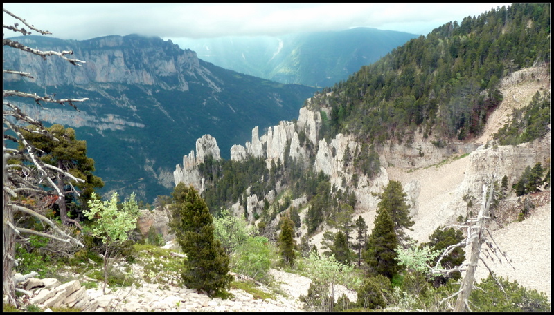 Combe de Veyranche