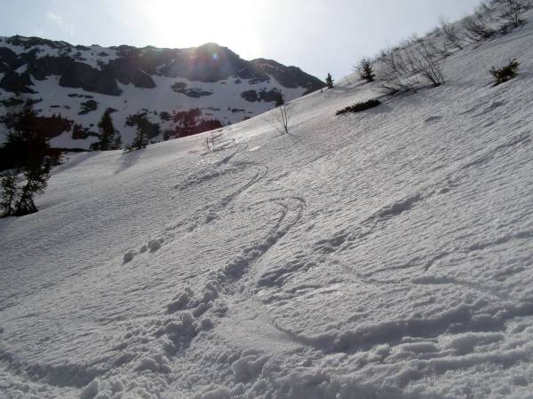 Combe de siflet