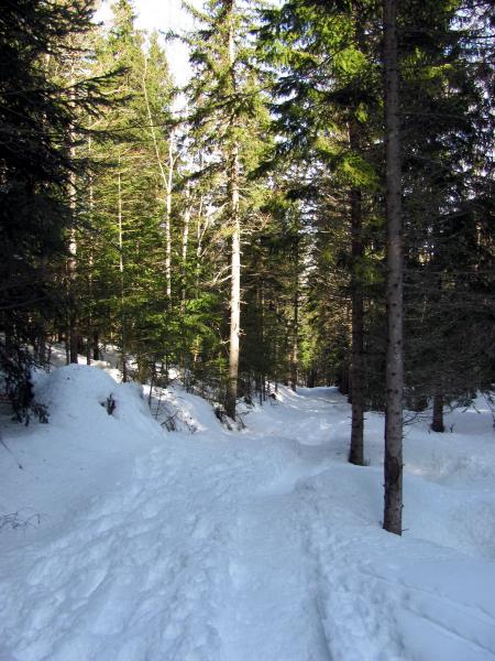 Combe du Souillet