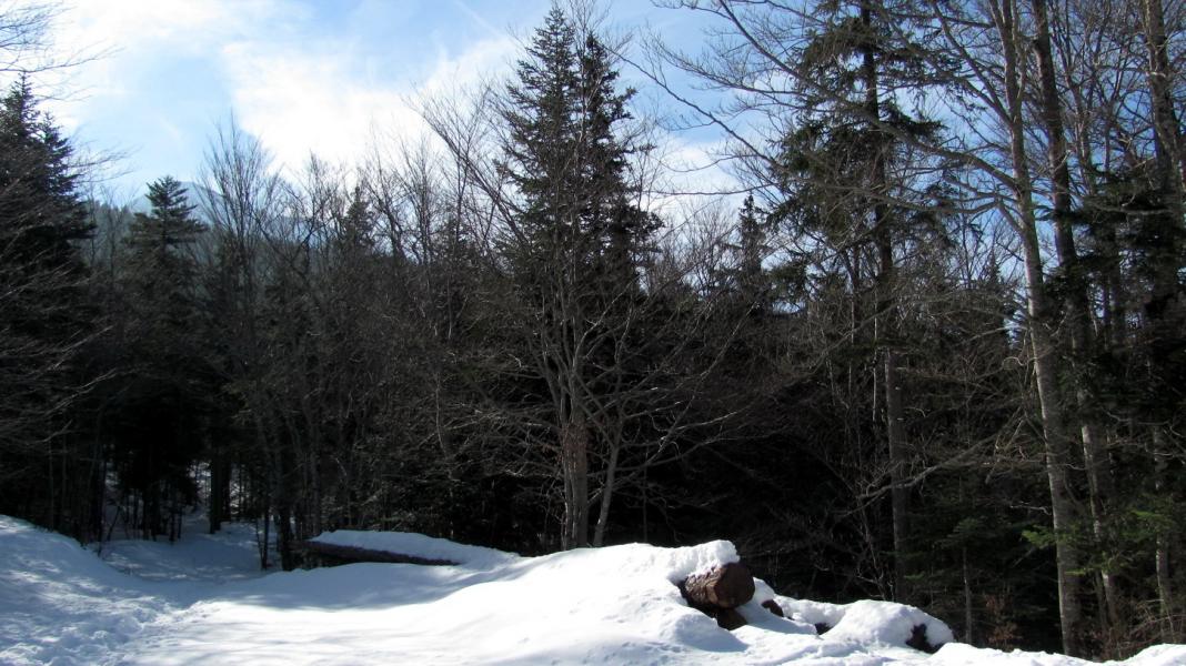 Combe du Souillet
