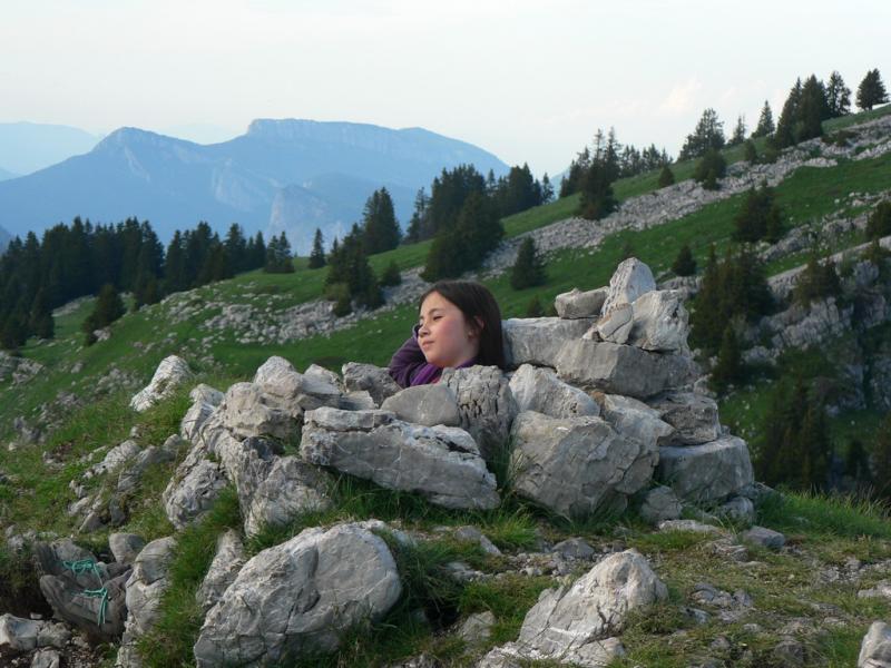 Contemplation chartrousine