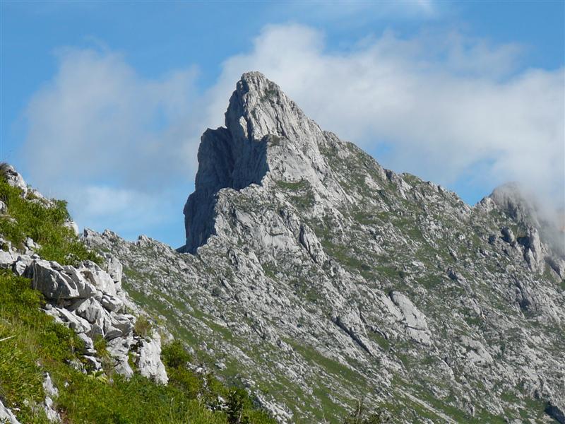 Cornafion