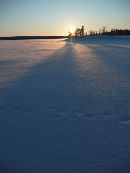 Coucher de soleil