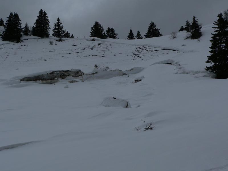 Coulée au pas de Bellecombe