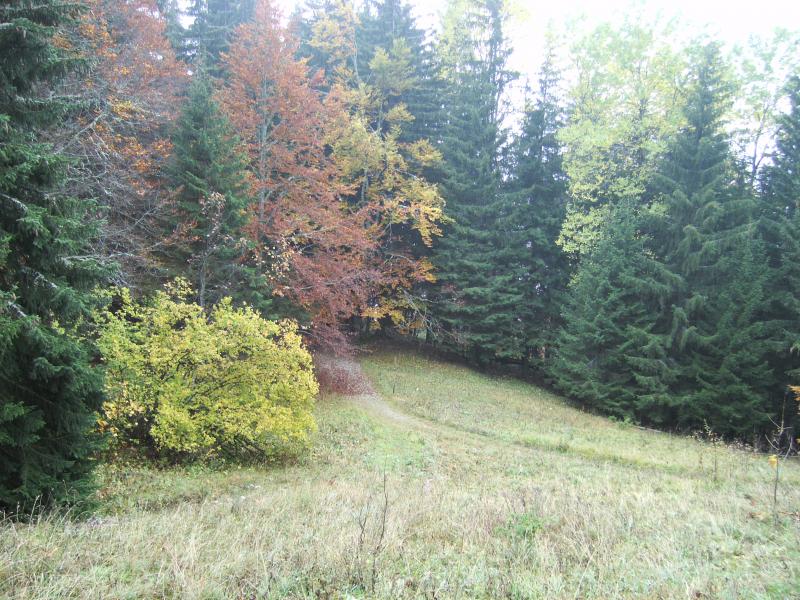 Couleur d'automne