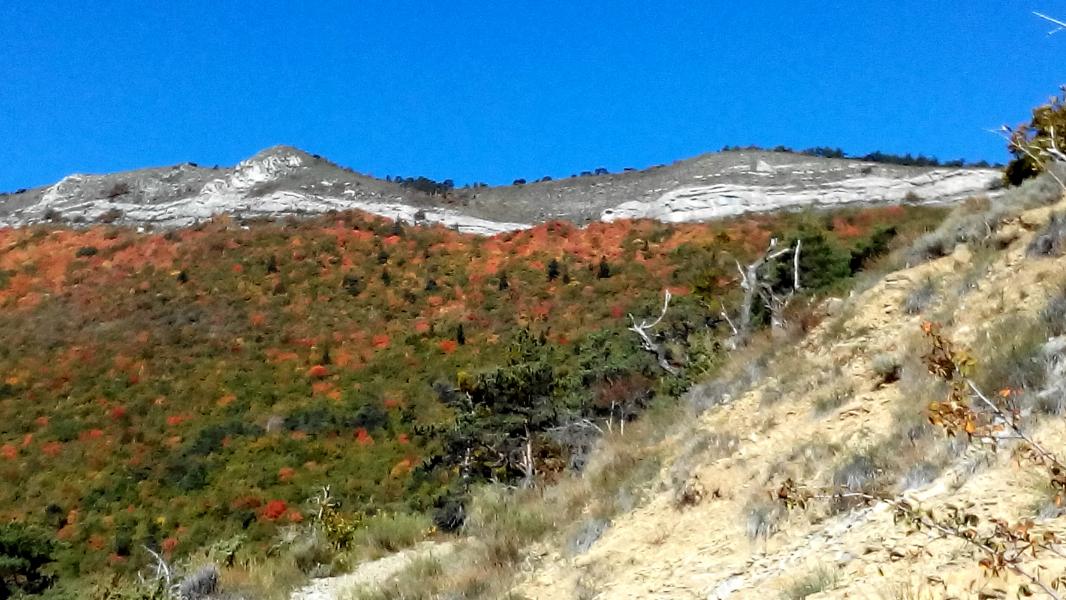 Couleurs d'automne.