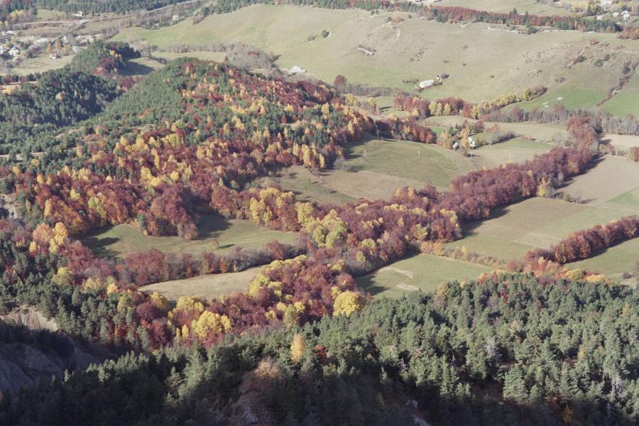 Couleurs d'automne