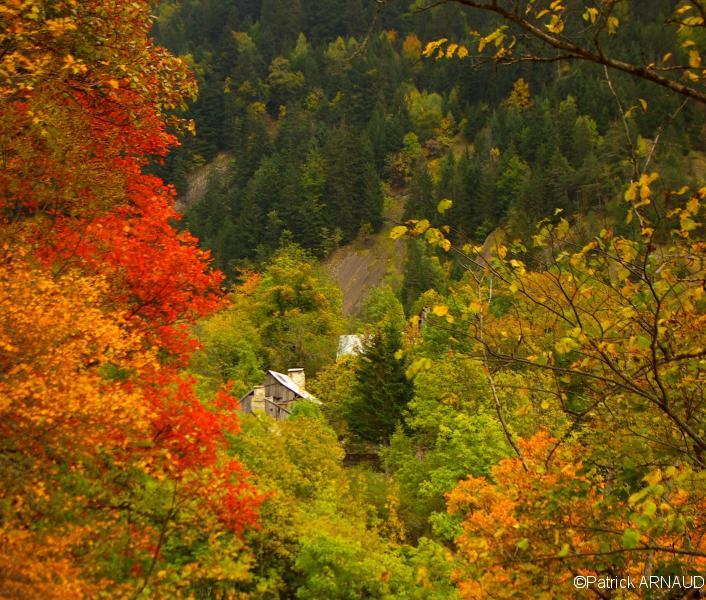 Couleurs d'automne