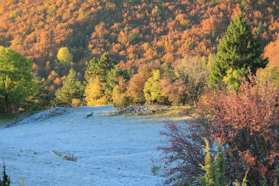 Couleurs d'automne