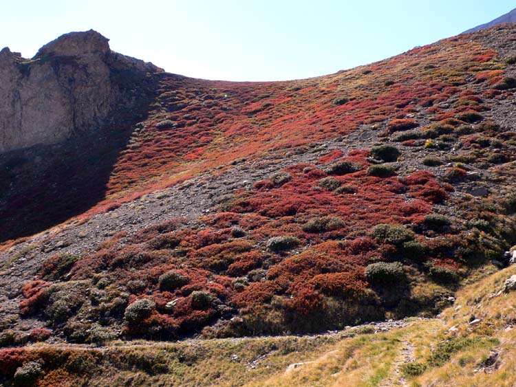 Couleurs d'automne