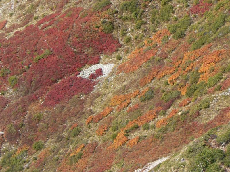 Couleurs d'automne dans le vallon de la Sitre