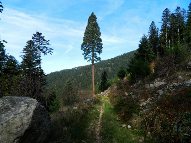 Crêt de Botte