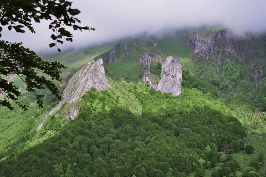 CrÃªte de Coq et Dent de la Rancune