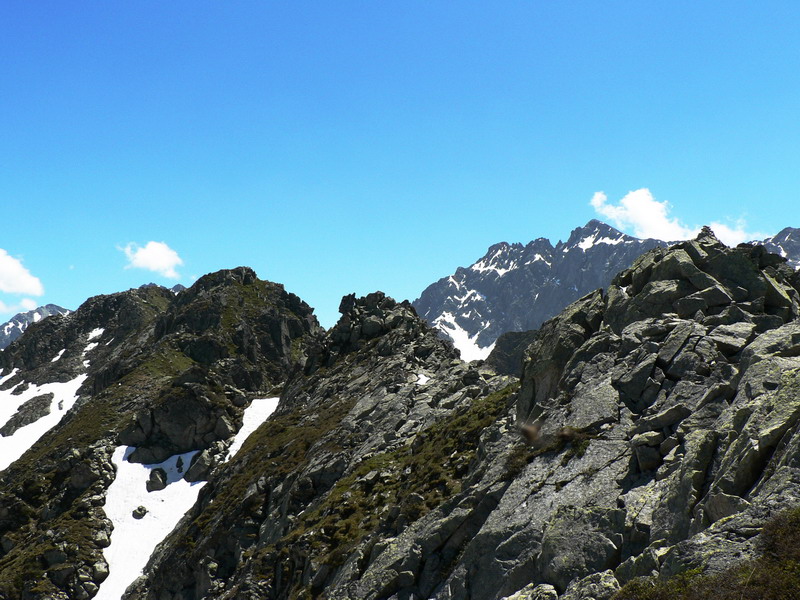 Crête de la Montagne de Périoule II