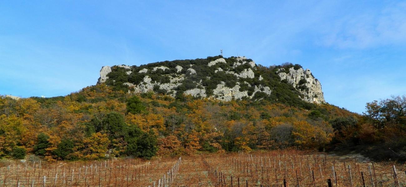 Crête du Mont Saint-Amand