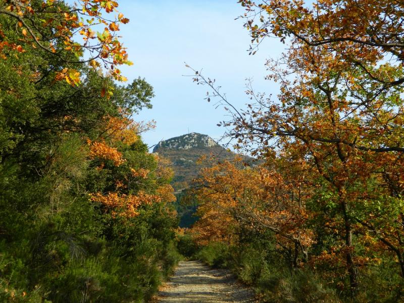 Crête du Mont Saint-Amand