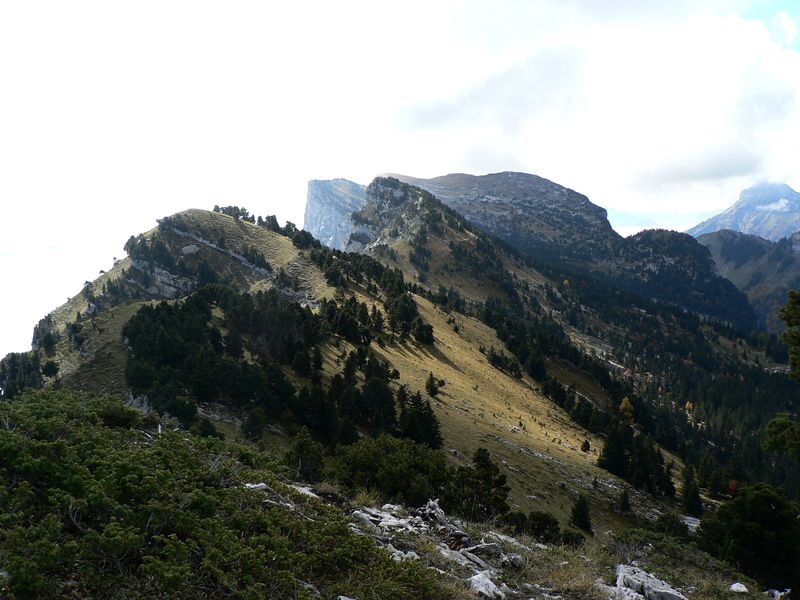 Crêtes de Bellefond
