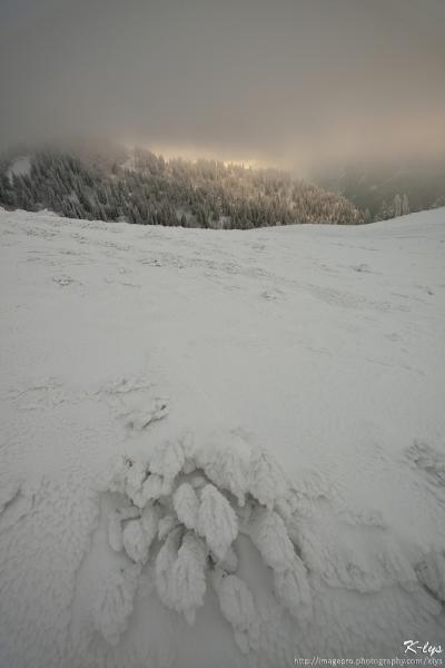 Crêtes de Montfromage