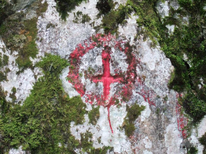 Croix de savoie