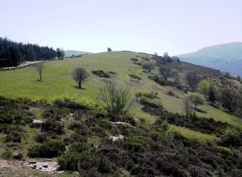CrÃªt de Montieux