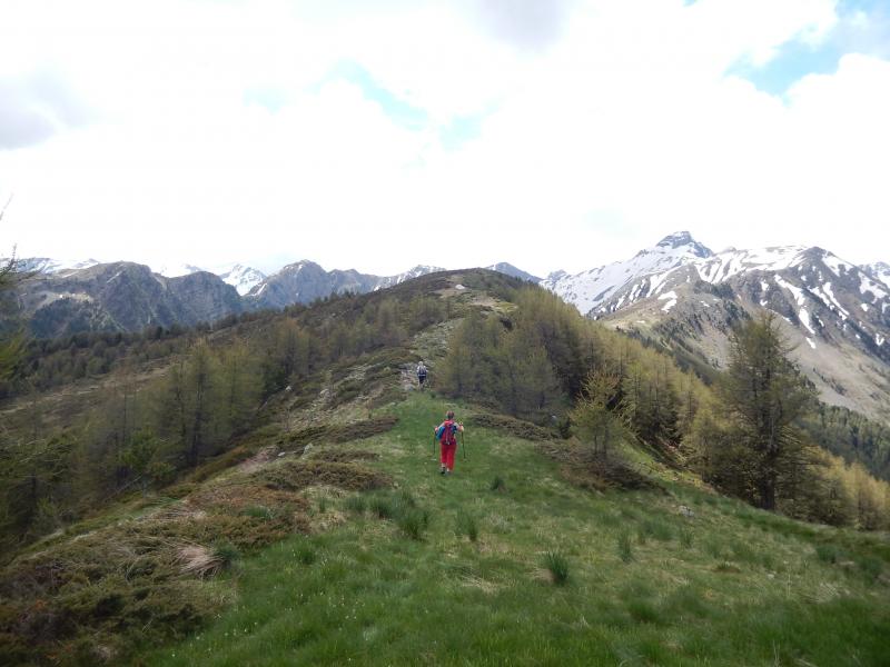 Crête du Lauzet