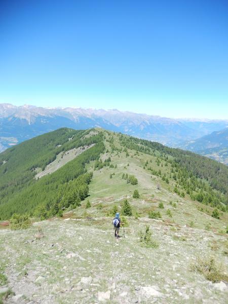 Crête du Lauzet