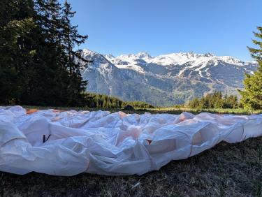 C'est le printemps  (La Duy (Bozel))