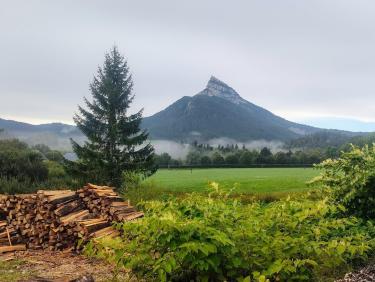 C&apos;est la rentrée des classes. 