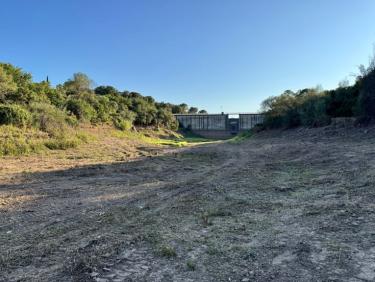 Balade en soirée avec Thalie 🐕