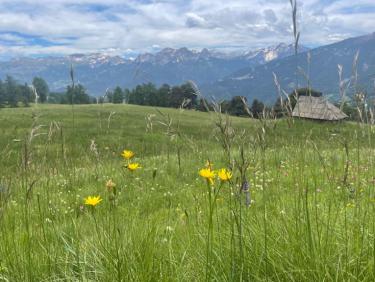Bouclette en haute Ubaye :)