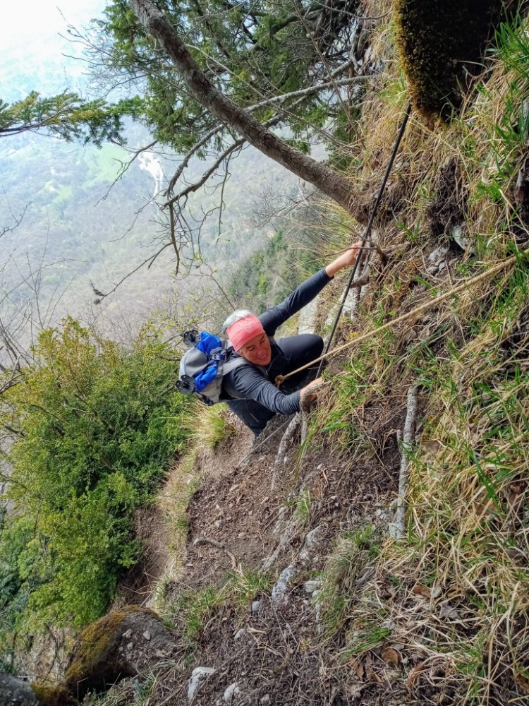 Terrain Ã  chamois