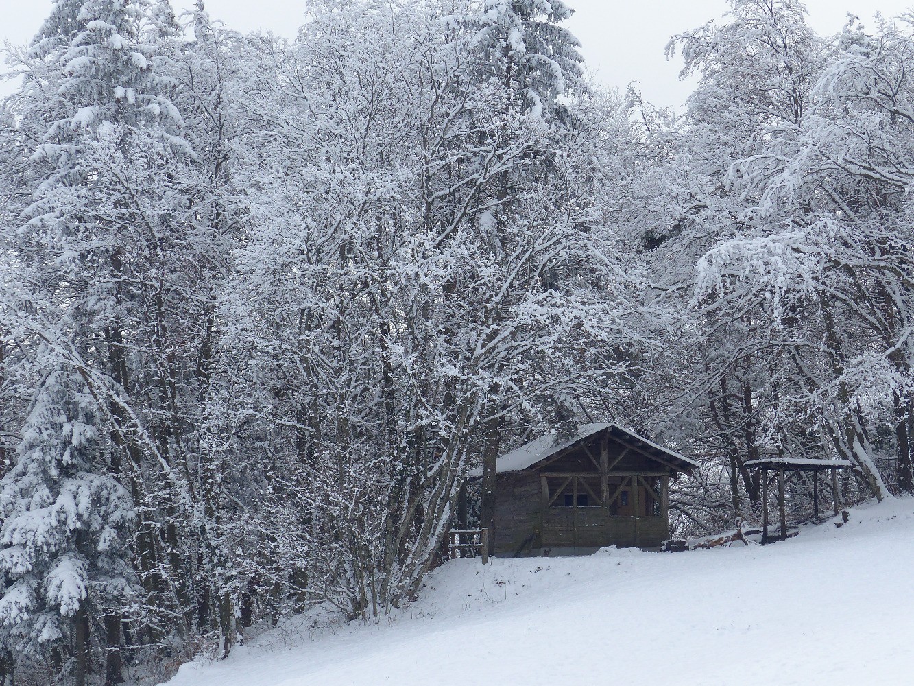 Cabane aux Ours
