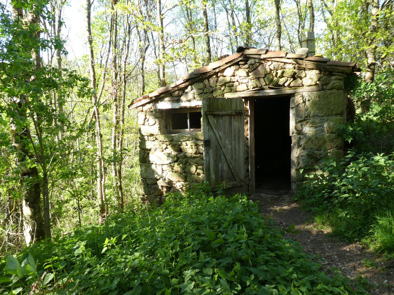 Cabane rustique dans le vallon de la Garde