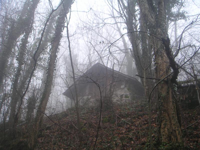 cabane