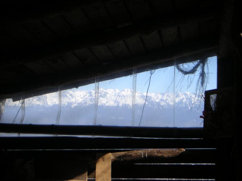 cabane