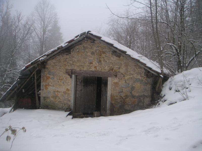cabane