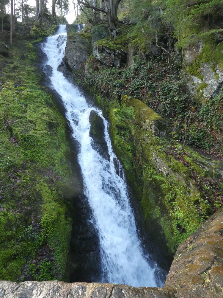 Cascade au dÃ©part du circuit