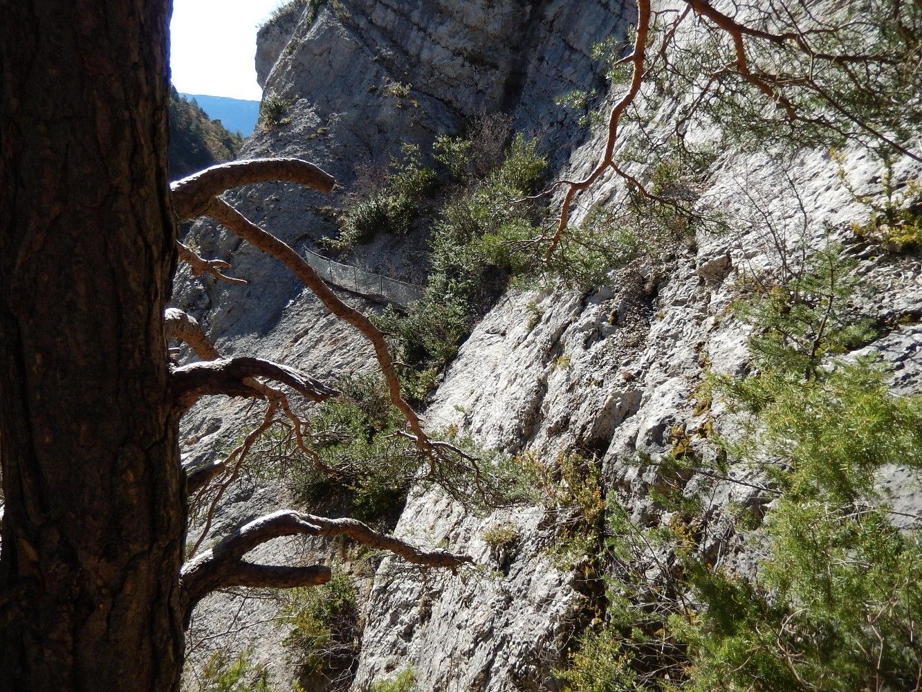 Cascade du Belleric