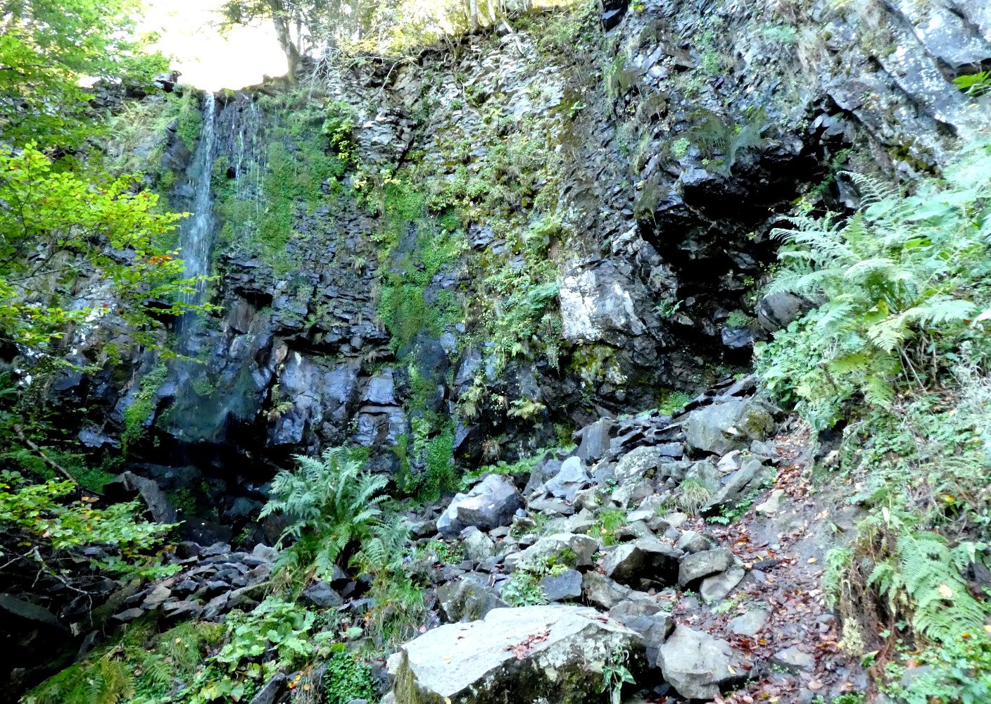 Cascade du Saut du Loup