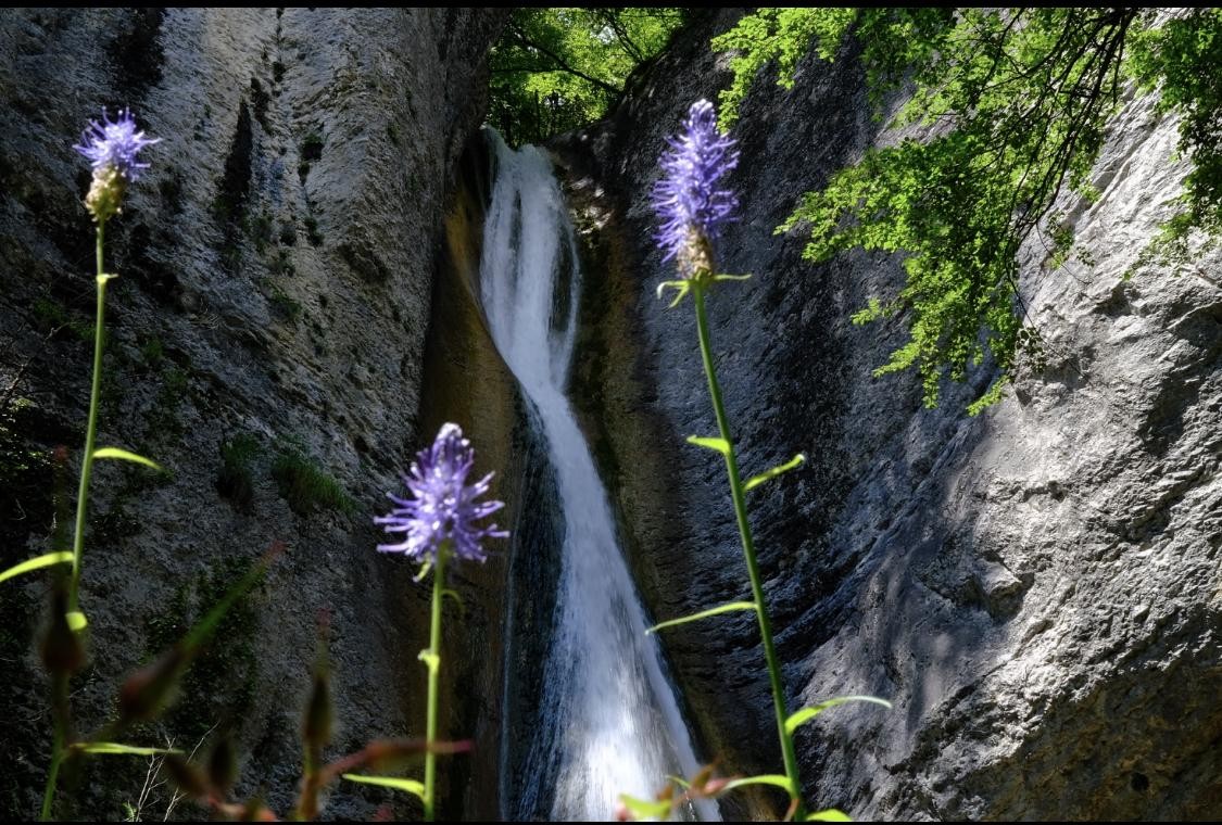 Cascade du Glésy