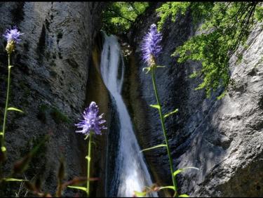 Cascade du Glésy